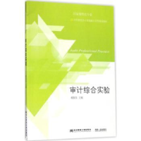 全新正版审计综合实验9787565429439东北财经大学出版社