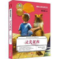 全新正版灵犬莱西9787545565461天地出版社