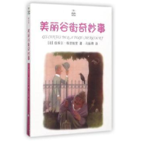 全新正版美丽谷街奇妙事9787532774777上海译文出版社