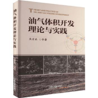 全新正版油气体积开发理论与实践9787518356041石油工业出版社