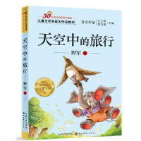 全新正版天空中的旅行9787539476513湖北美术出版社