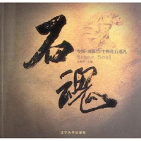 全新正版石魂:中国·朝古生化石巡礼9787561058800辽宁大学出版社