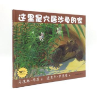 全新正版这里是穴居沙龟的家9787532499328少年儿童出版社