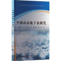 全新正版平顶山市地下水研究9787550935891黄河水利出版社