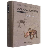 全新正版山东省古生物图册9787562548683中国地质大学出版社