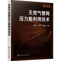 全新正版天然气管网压力能利用技术97871274化学工业出版社