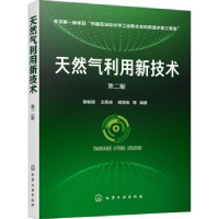 全新正版天然气利用新技术978712602化学工业出版社