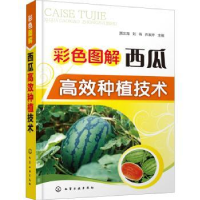 全新正版彩色图解西瓜高效种植技术978712530化学工业出版社