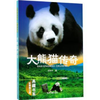 全新正版大熊猫传奇9787551420228浙江摄影出版社