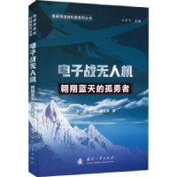 全新正版战机:翱翔蓝天的孤勇者9787118130317国防工业出版社