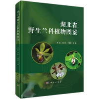 全新正版湖北省野生兰科植物图鉴9787030766038科学出版社
