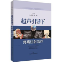 全新正版超声引导下疼痛注治疗9787547839362上海科学技术出版社