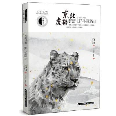全新正版东北虎豹·野马溜蹄步9787571502775晨光出版社