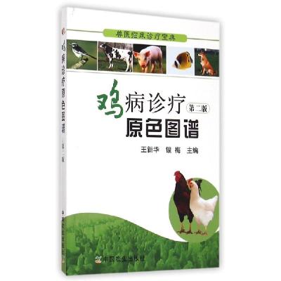 全新正版鸡病诊疗原色图谱9787109198753中国农业出版社