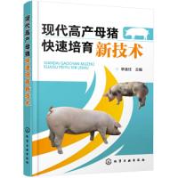 全新正版现代高产母猪快速培育新技术9787129836化学工业出版社