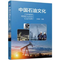 全新正版中国石油文化9787111625902机械工业出版社