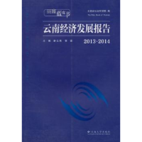 全新正版2013~2014云南经济发展报告9787548220云南大学出版社