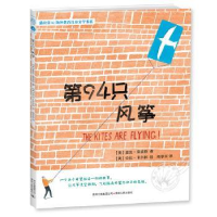 全新正版第94只风筝97872210995贵州人民出版社