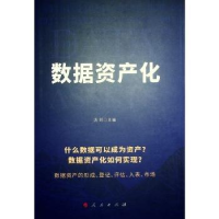 全新正版数据资产化9787010258041人民出版社