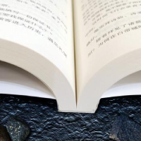 全新正版七重外壳9787570118212山东教育出版社