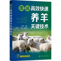 全新正版图说高效快速养羊关键技术9787122429636化学工业出版社