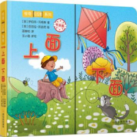 全新正版上面下面9787548436270哈尔滨出版社