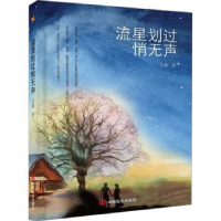 全新正版流星划过悄无声9787517141150中国言实出版社