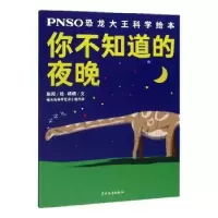 全新正版你不知道的夜晚9787558907111少年儿童出版社