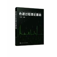 全新正版色谱过程理论基础9787122752化学工业出版社