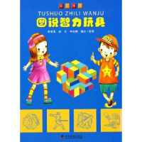 全新正版图说智力玩具9787110074107科学普及出版社
