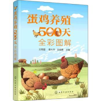 全新正版蛋鸡养殖500天全彩图解9787127化学工业出版社