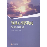 全新正版监狱心理咨询的探索与展望97873071443武汉大学出版社