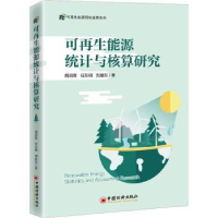 全新正版可能源统计与核算研究9787513664073中国经济出版社