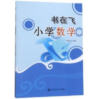 全新正版书在飞?小学数学9787569028188四川大学出版社