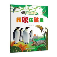 全新正版我家在这里9787572200557浙江教育出版社