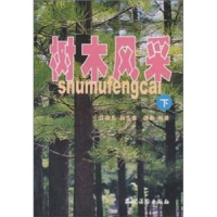 全新正版树木风采:[图集]:下9787504842657农村读物出版社