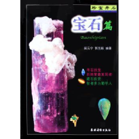 全新正版珍宝异石:宝石篇9787504847386农村读物出版社