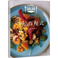 全新正版沙拉方程式9787544293952南海出版公司