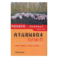 全新正版肉羊高效饲养技术有问必答97871092242中国农业出版社