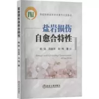 全新正版盐岩损伤自愈合特9787502492625冶金工业出版社