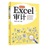 全新正版实战Excel审计9787302637561清华大学出版社