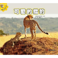 全新正版可爱的猎豹9787551406437浙江摄影出版社