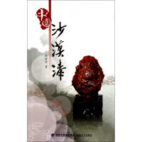 全新正版中国沙漠漆9787539324593福建美术