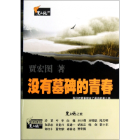 全新正版没有墓碑的青春/黑土地之歌9787307098428武汉大学