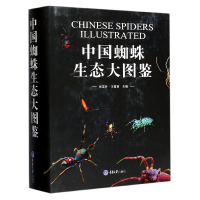 全新正版中国蜘蛛生态大图鉴(精)97875689080重庆大学