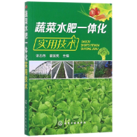 全新正版蔬菜水肥一体化实用技术97871210583化学工业