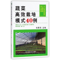 全新正版蔬菜高效栽培模式40例9787109240544中国农业