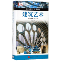 全新正版建筑艺术(目击者文化指南)9787563734160旅游教育