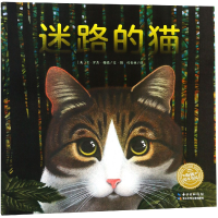 全新正版迷路的猫/海豚绘本花园9787556073993长江少儿