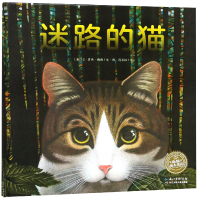 全新正版迷路的猫(精)/海豚绘本花园9787556073986长江少儿